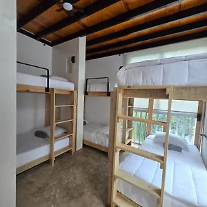 Hom Boutique Auberge de jeunesse